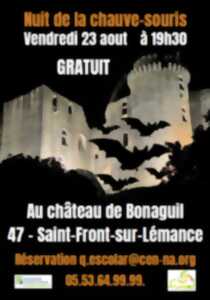 photo Nuit de la chauve-souris