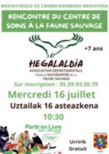 photo Rencontre du centre de soins à la faune sauvage Hegalaldia