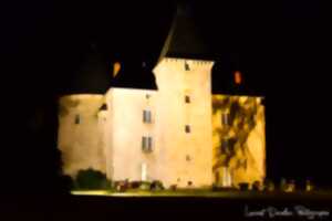 photo Nuits des Châteaux au Château de Brie