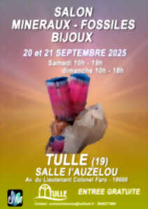 photo Salon des minéraux, fossiles, bijoux de créateur
