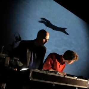 photo Saison culturelle - Birds on a Wire - Rosemary Standley et Dom La Nena