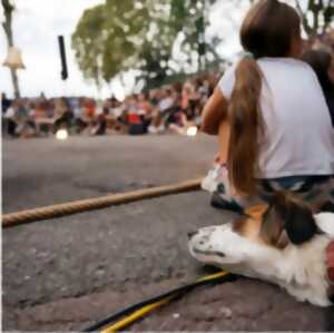 photo Saison culturelle - Dominique toute seule