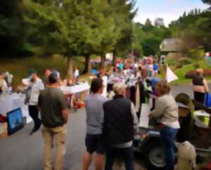 photo Foire à tout Quetteville en fête