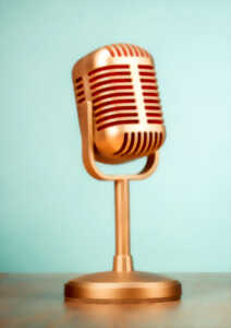 photo Conférence : « Lansyer et les collectionneurs d’art japonais au XIXe siècle »