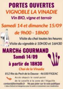 De ferme en ferme : vignoble de la Vinadie à Figeac