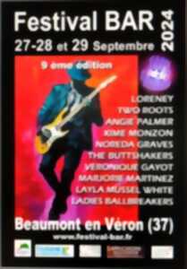 photo 10ème édition du Festival B A R