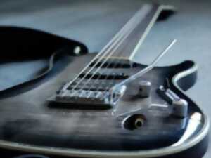photo Festival de musique Woodloob