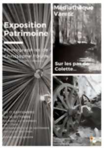 photo : Sur la piste du moustique tigre : une expo piquante à la médiathèque !