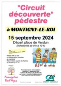 photo VIDE-GRENIER DE MONTIGNY-LE-ROI