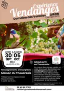 photo #2 Expérience vendanges
