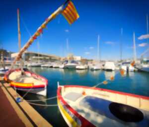 photo VISITE DES BATEAUX D'ANTAN & NOEUD MARIN
