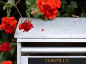 LES TORPILLE de Thibault Saint Louis Drame antillais