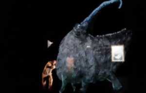 photo L'empreinte : Le murmure des songes