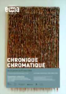 photo EMA - exposition : Chronique chromatique 