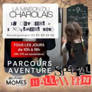 photo Parcours aventure 