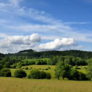 photo Cycles de conférences du Parc | La forêt et son sol par Marc-André Selosse