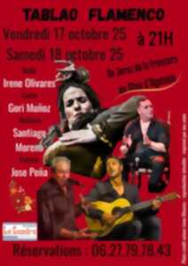 photo Tablao Flamenco - De Jerez de la Frontera au Mas D'Agenais