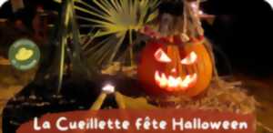 photo Fête de la courge, à la Cueillette de l'Aragnon