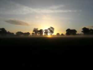 photo Le jour de la nuit