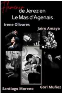photo Tablao Flamenco - De Jerez de la Frontera au Mas D'Agenais