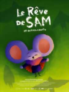 photo Ciné-mômes - Le Rêve de Sam