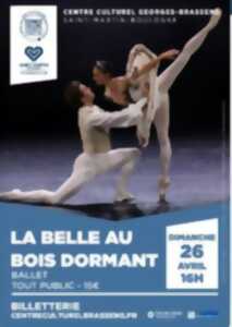 photo La belle au bois dormant - Centre culturel Georges Brassens