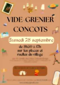 Vide-dressing à Concots