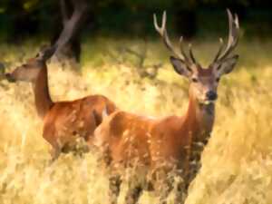 photo HEURE DU CONTE DU PRINTEMPS