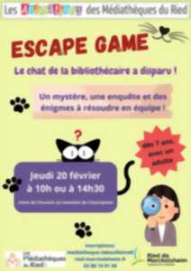 photo Escape game - le chat de la bibliothécaire a disparu