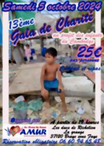 photo 14ème Gala de Charité au profit des enfants du Cambodge