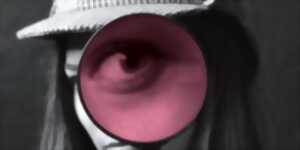 photo Théâtre - La commissaire daltonienne au théâtre - Tout public