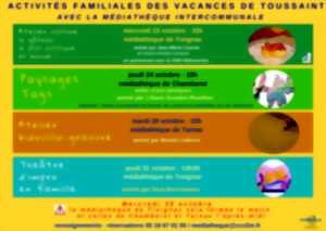 photo Médiathèque : A la découverte des abeilles sauvages