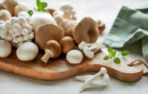 photo Cours de cuisine : Les champignons de nos bois