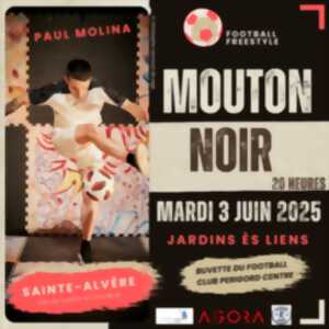 photo Agora - Pôle National Cirque : Mouton Noir / Paul Molina, Equinoxe-Scène nationale de Châteauroux