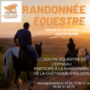 photo Journée nationale de la randonnée équestre