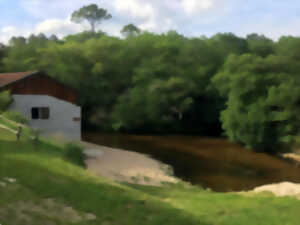 photo Visite exceptionnelle du moulin de Caussarieu
