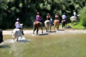photo BALADE A CHEVAL