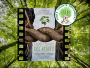 photo Projection du film « Dans les cuisines de la Préhistoire »