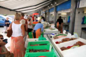 Visite-guidée : « Flânerie autour du port »