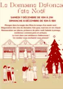LE DOMAINE DELONCA FÊTE NOËL