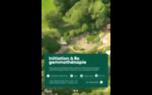 photo Initiation à la gemmothérapie