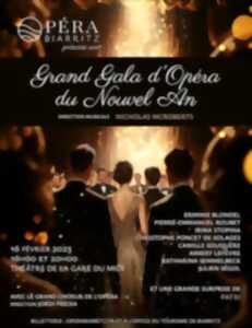 Grand Gala d'Opéra du Nouvel An (20h)