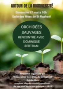 Orchidées sauvages - conférence et sortie