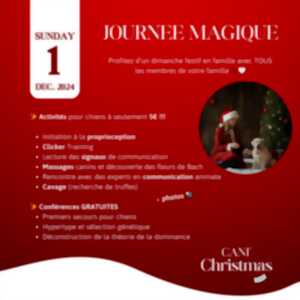 Marché de Noël canin du Refuge Canin Lotois