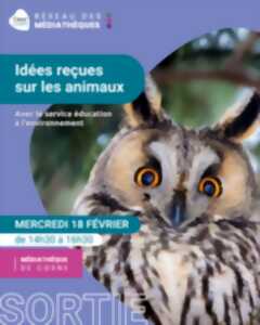 photo Idées reçues sur les animaux