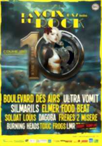 photo Festival La Voix du Rock #10