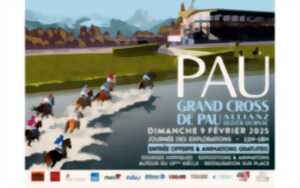 photo Courses à l'hippodrome de Pau - Grand Cross
