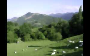 photo Bekat'uros : lectures et repas