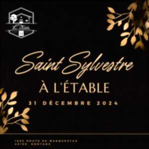 photo Saint Sylvestre