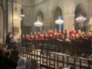 photo Concert Vocal - Musique du monde
